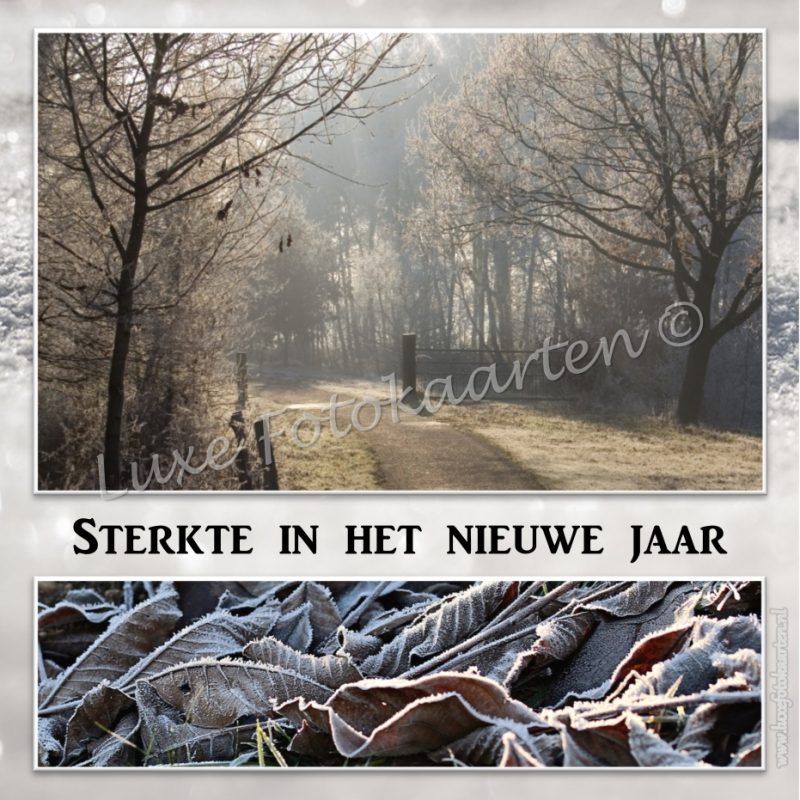 Sterkte nieuwe jaar - Bos